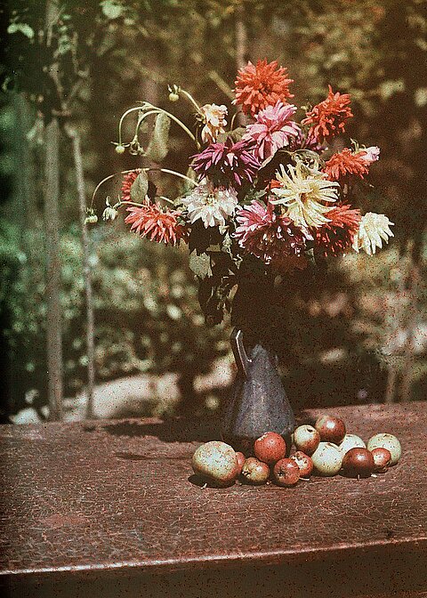 Fotografie mit Blumen und Äpfeln, um das Jahr 1920.