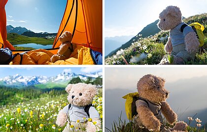 Das in vier Bildhälften geteilte Foto zeigt links oben einen Tedybären in einem Zelt sitzend in einer Berglandschaft. Das Foto rechts oben zeigt einen Teddy mit Wanderrucksack in den Bergen. Das Foto links unten zeigt einen Teddy auf einer Blumenwiese vor einer spektakulären Berglandschaft. Das Foto rechts unten zeigt einen Teddybären auf einem Berggipfel sitzend.